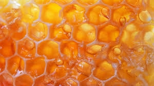 Manuka Honey Extract